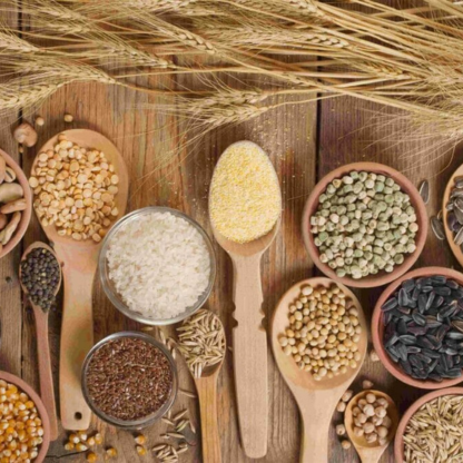 Foods & FMCG