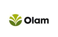 olam