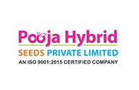 pooja-hybrid