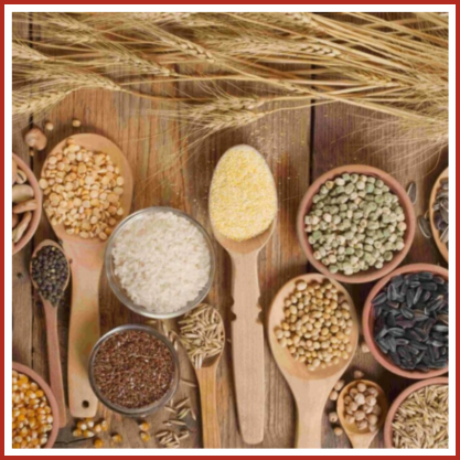 Foods & FMCG