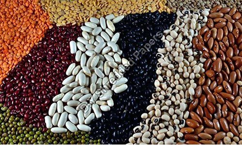 Pulses Granules